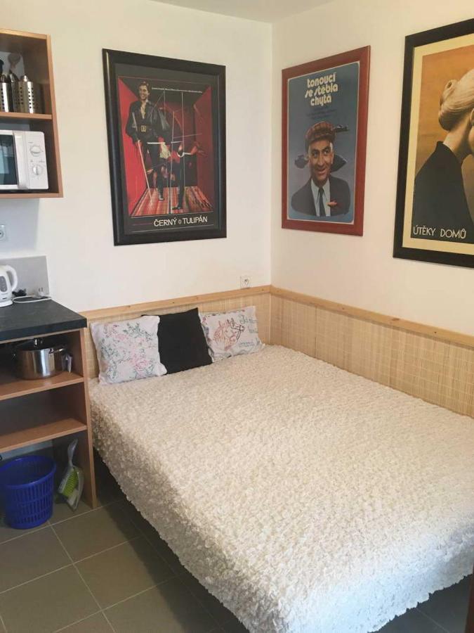 Male Utulne Studio S Koupelnou A Kuchynkou Svinarov Buitenkant foto